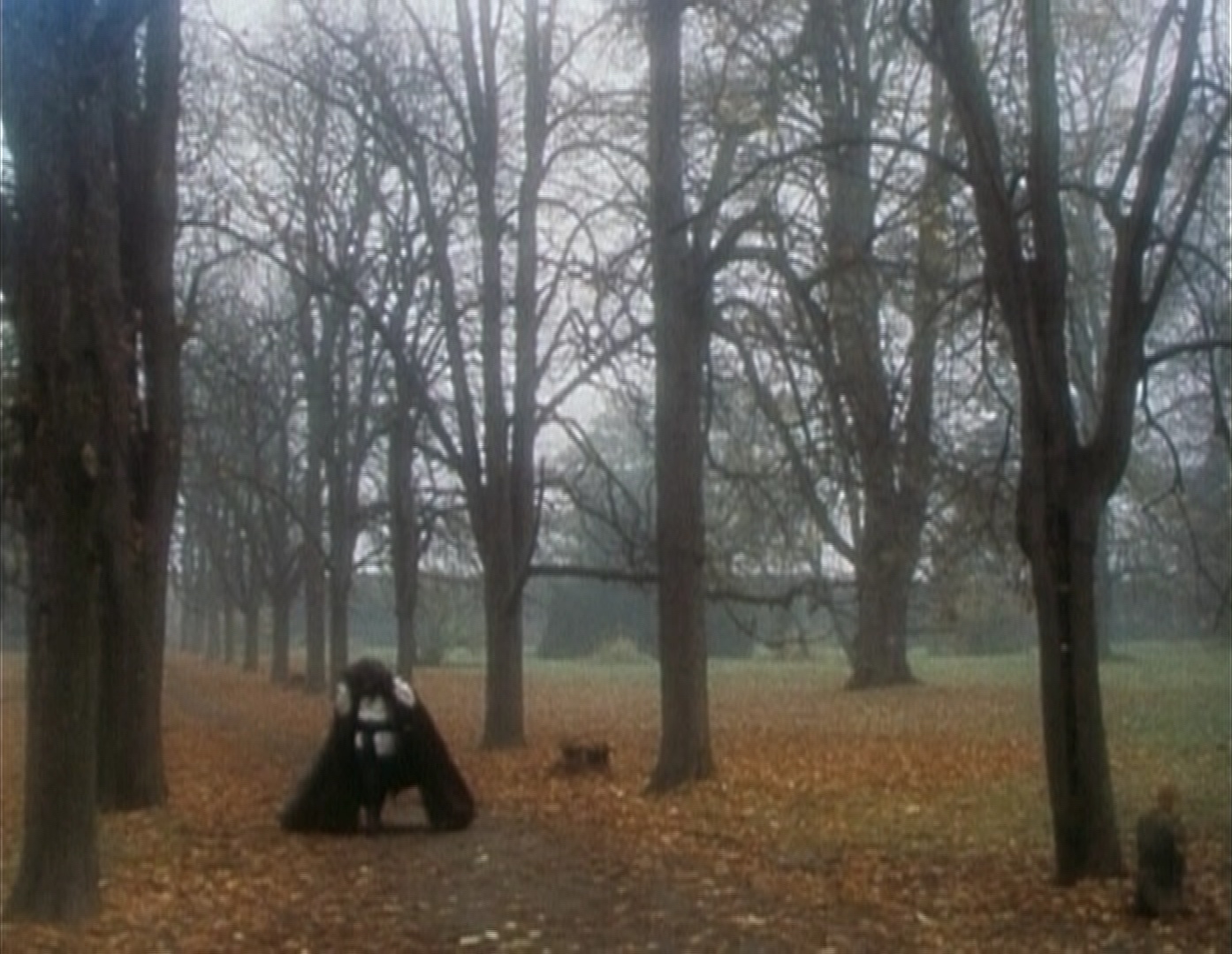 Trash Mountain Video (frame 67581)