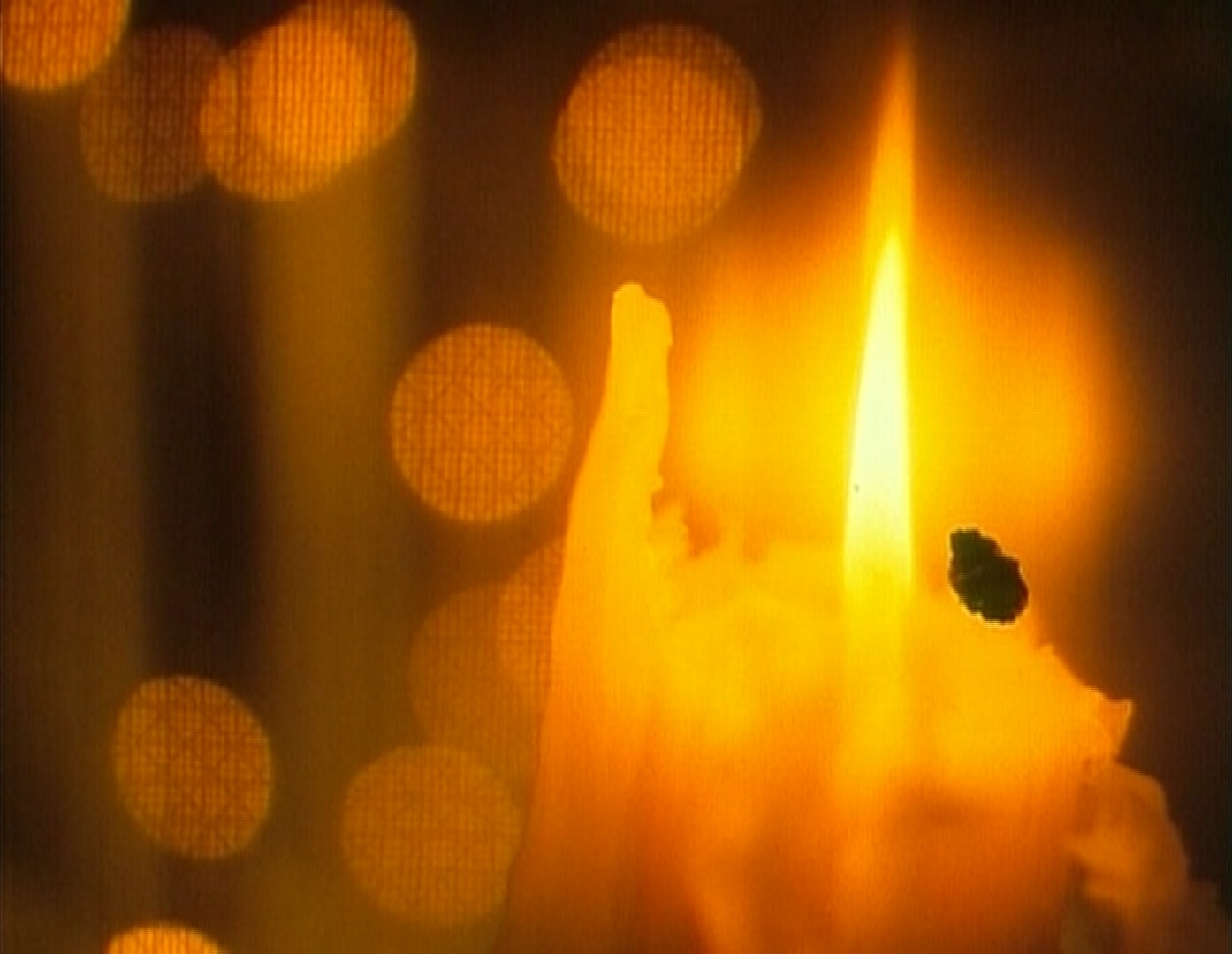 Trash Mountain Video (frame 116565)