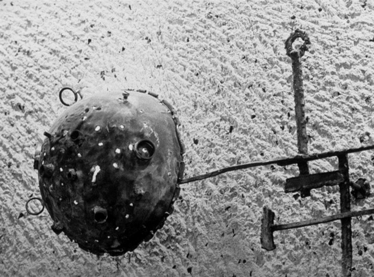 SFI & The Daily SME (frame 57132)