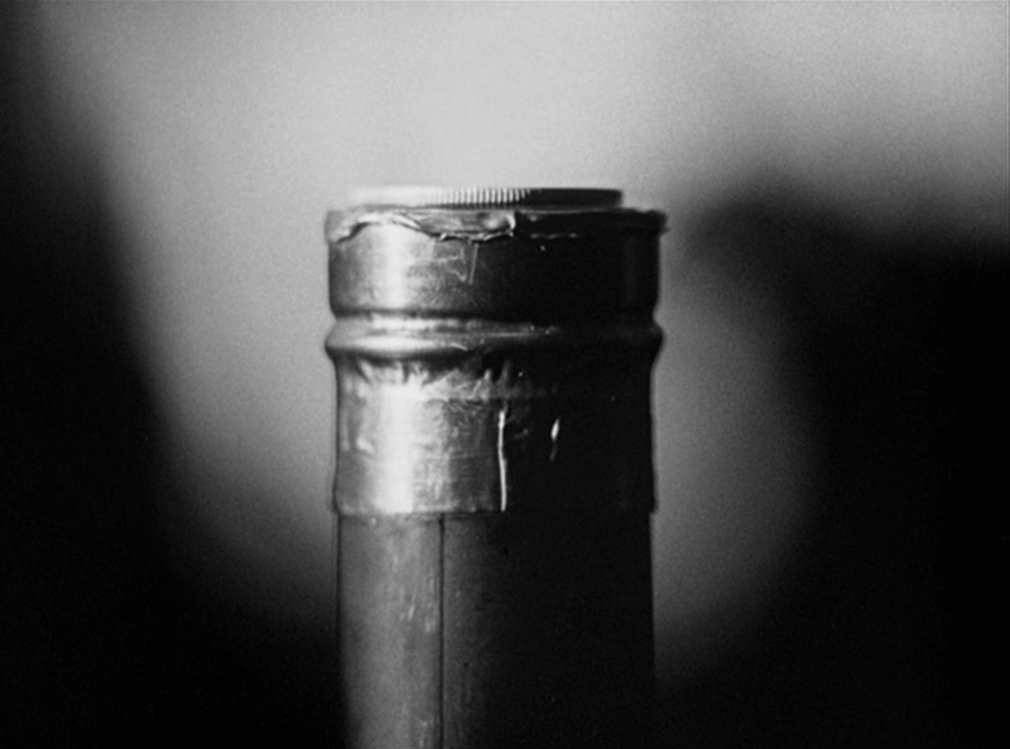 SFI & The Daily SME (frame 87747)