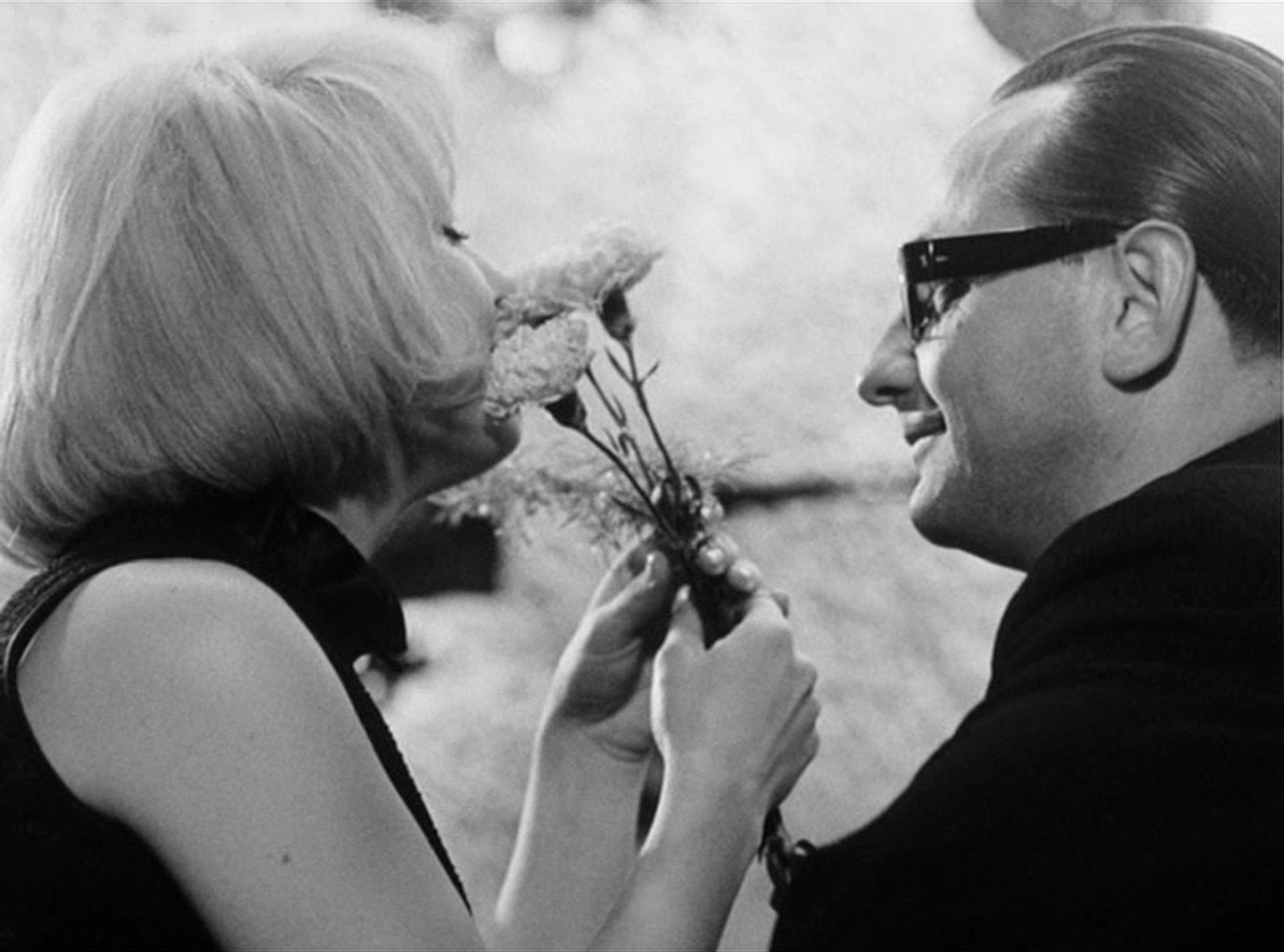 SFI & The Daily SME (frame 103039)