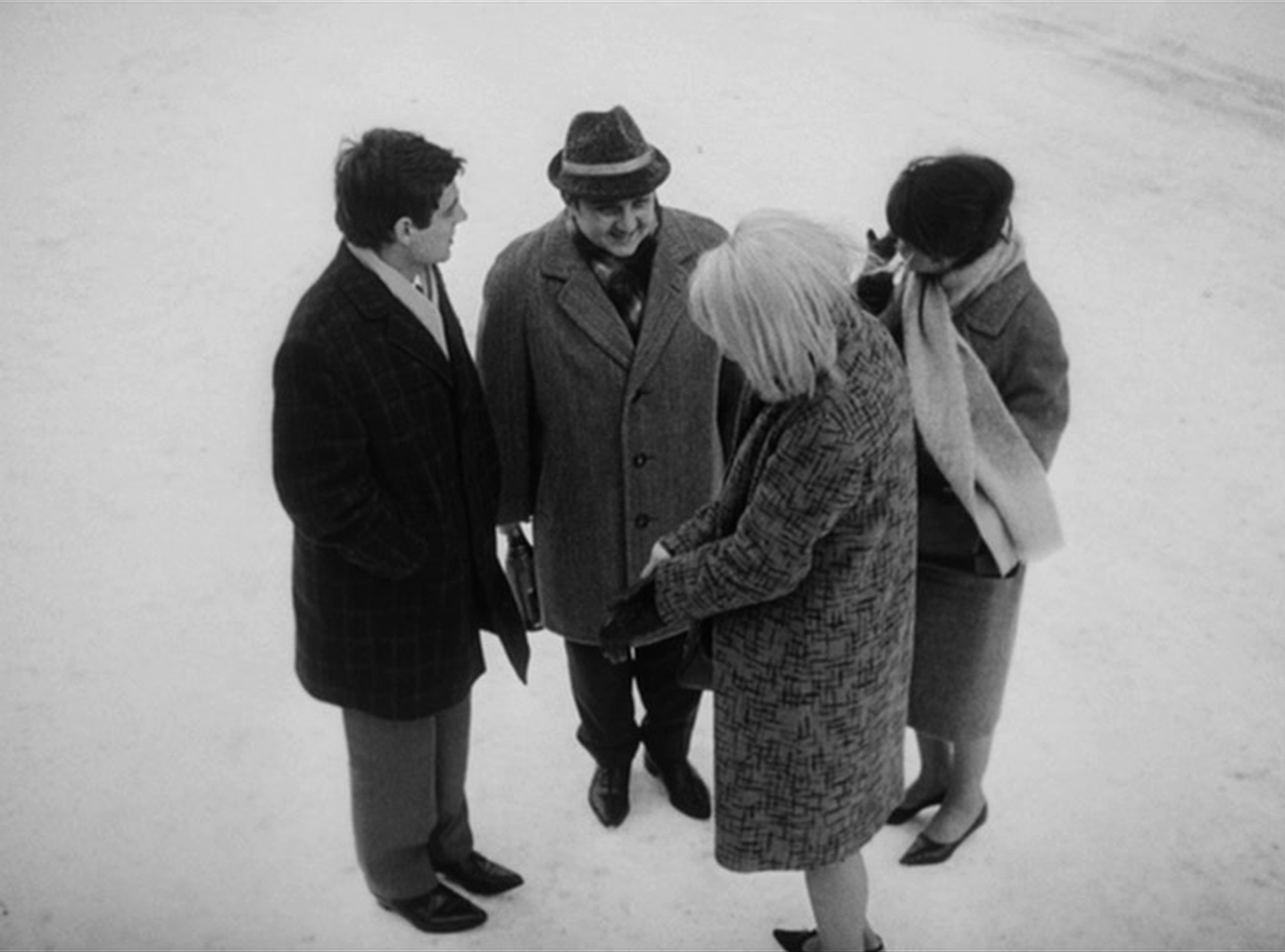 SFI & The Daily SME (frame 124564)