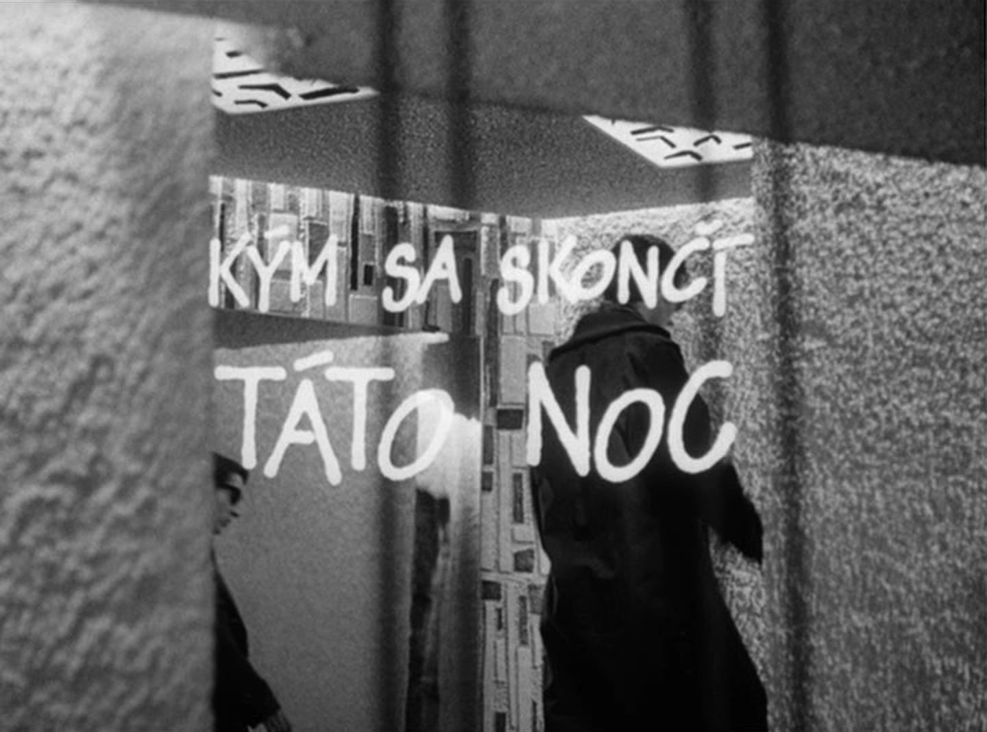 SFI & The Daily SME (frame 1489)