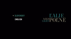 Menu language selection