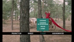 Subtitles