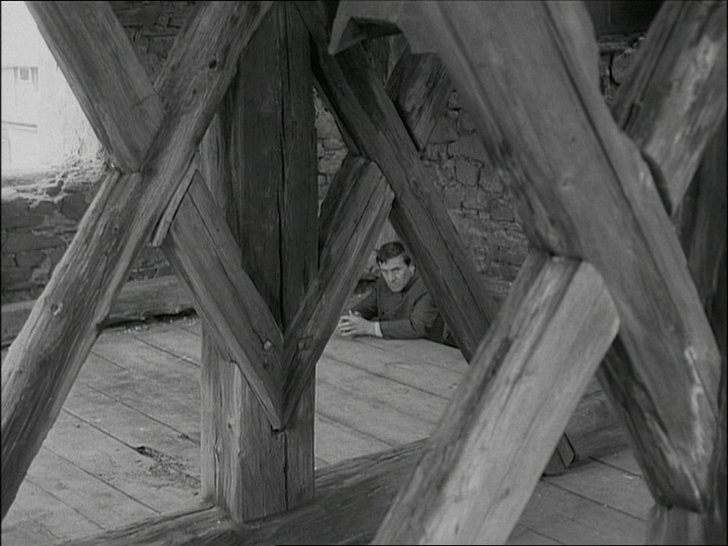 Ripley’s Home Video (frame 56640)