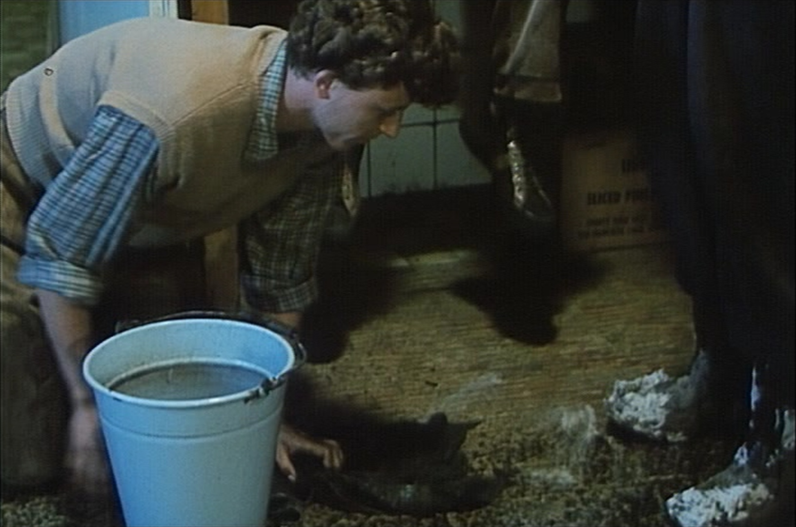 CČV/Bonton (frame 56606)