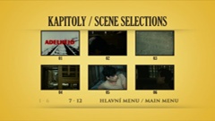 Scene selections