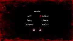 Subtitles