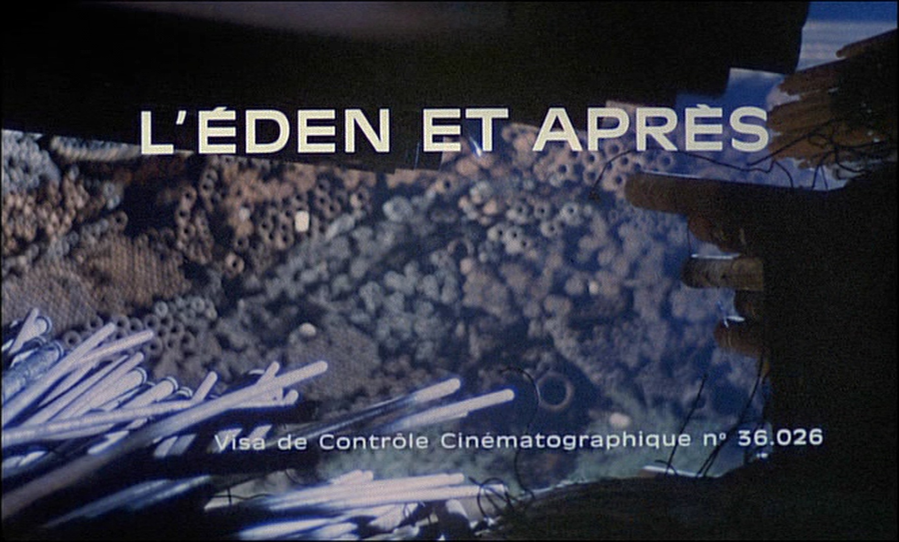 Ripley’s Home Video (frame 1314)