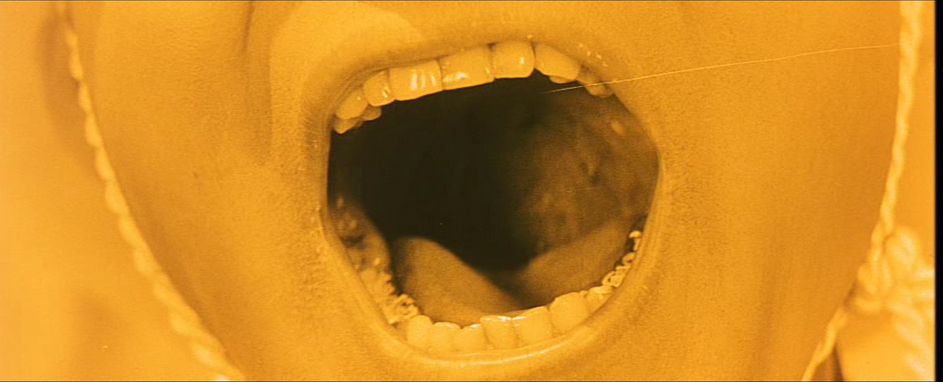 Filmexport Home Video (frame 52448)