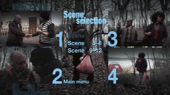 Scene selection