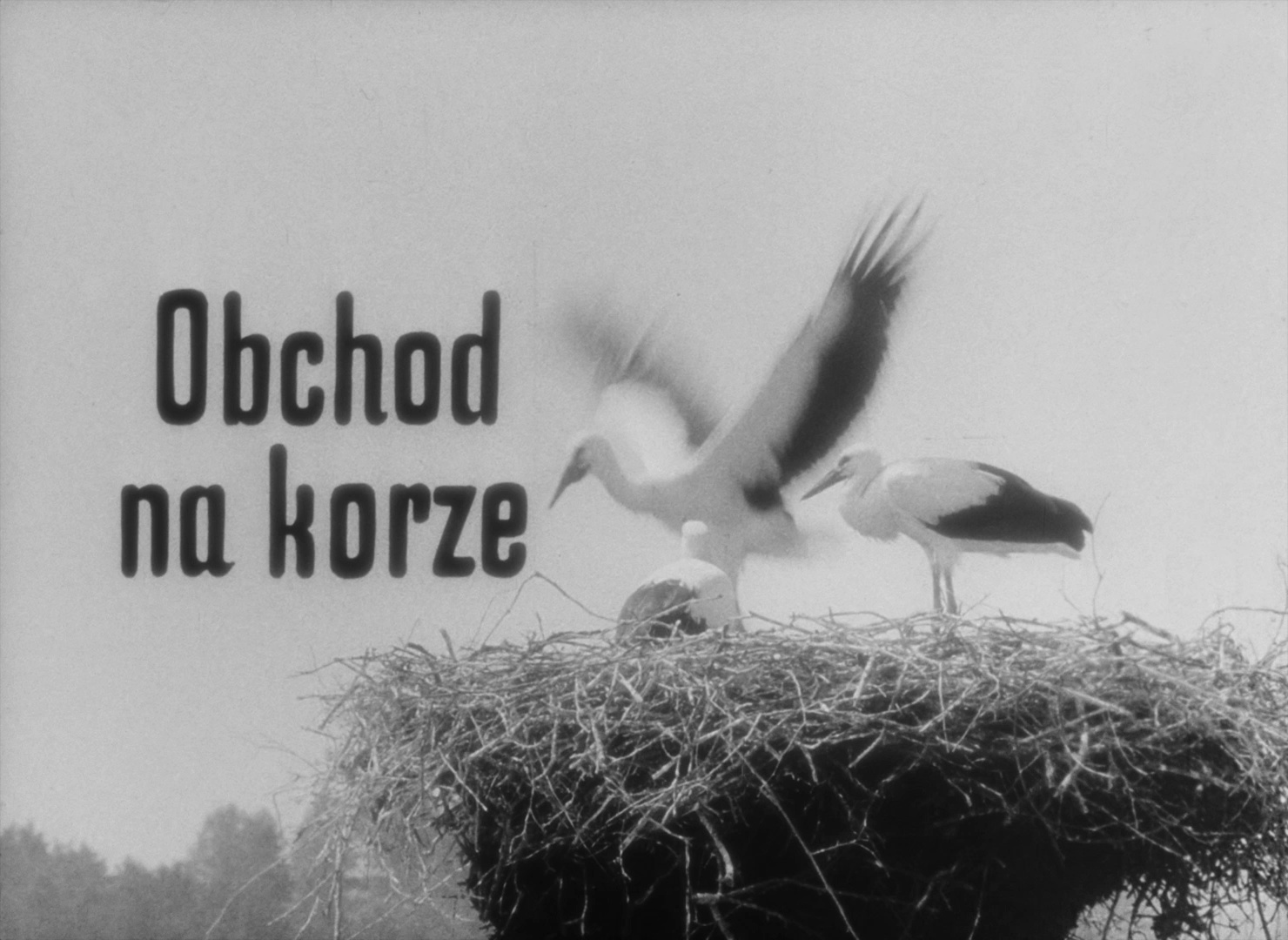 SFI / Blu-ray (frame 744)