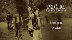 Menu language selection