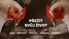 Main menu (Czech)