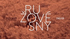 Menu language selection