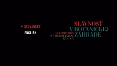 Menu language selection