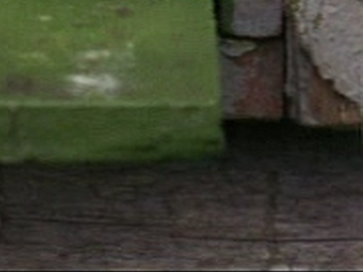 SFI & The Daily SME (frame 12715)