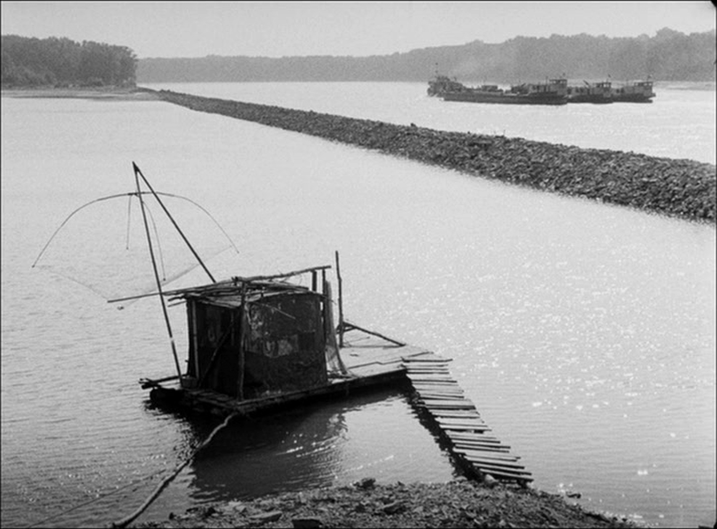 SFI & The Daily SME (frame 36496)