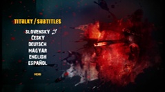 Subtitles