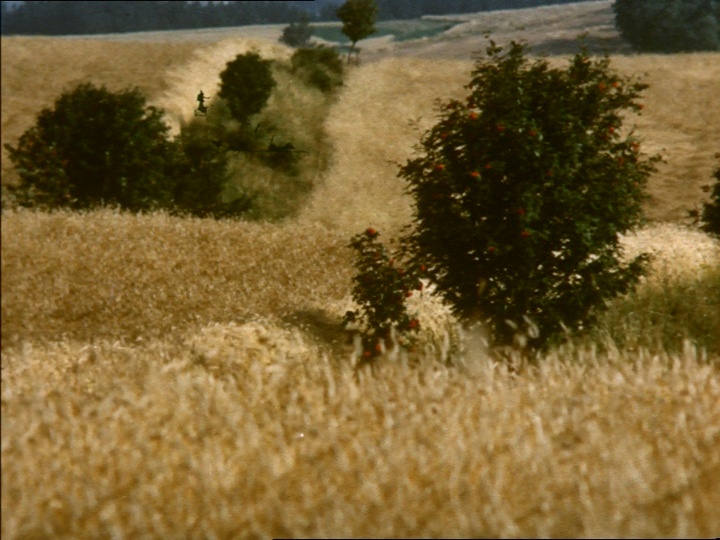 CČV/Bonton (frame 79606)