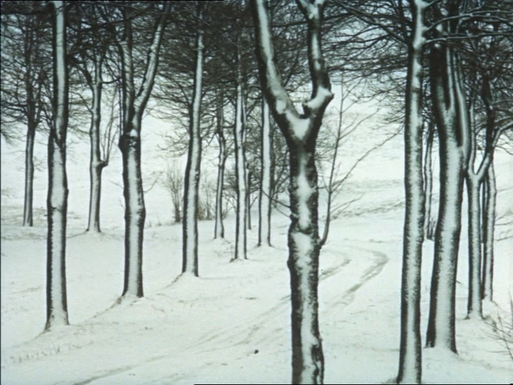 CČV/Bonton (frame 131134)
